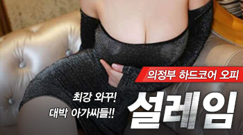 오피스타 | [의정부오피-설레임]