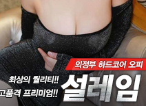 오피스타 | [의정부오피-설레임]